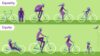 Equity Bicycle Graphic_Green